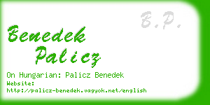 benedek palicz business card